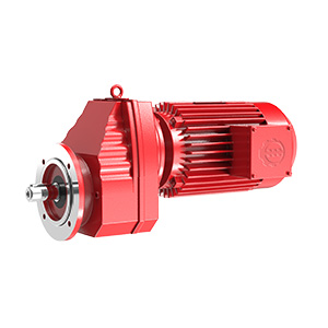 RXF 系列斜齿轮减速机