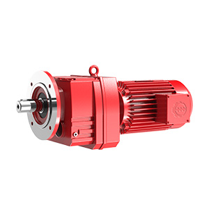 RX 系列斜齿轮减速机